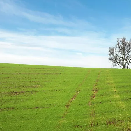 Spacious Holiday In With Garden Дом отдыха