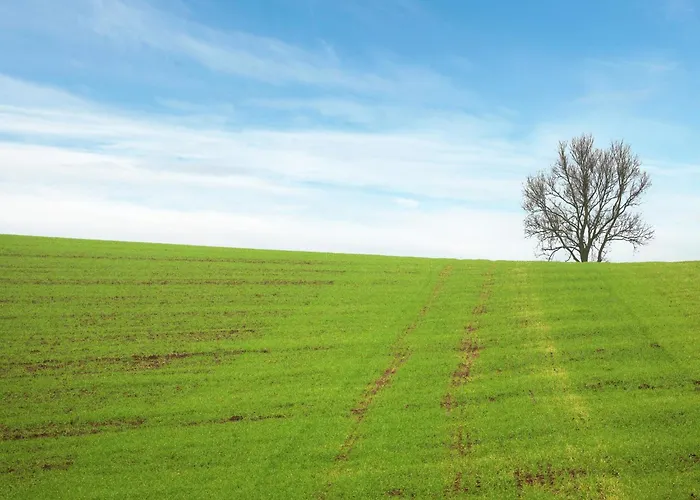 Spacious Holiday In With Garden Hébergement de vacances